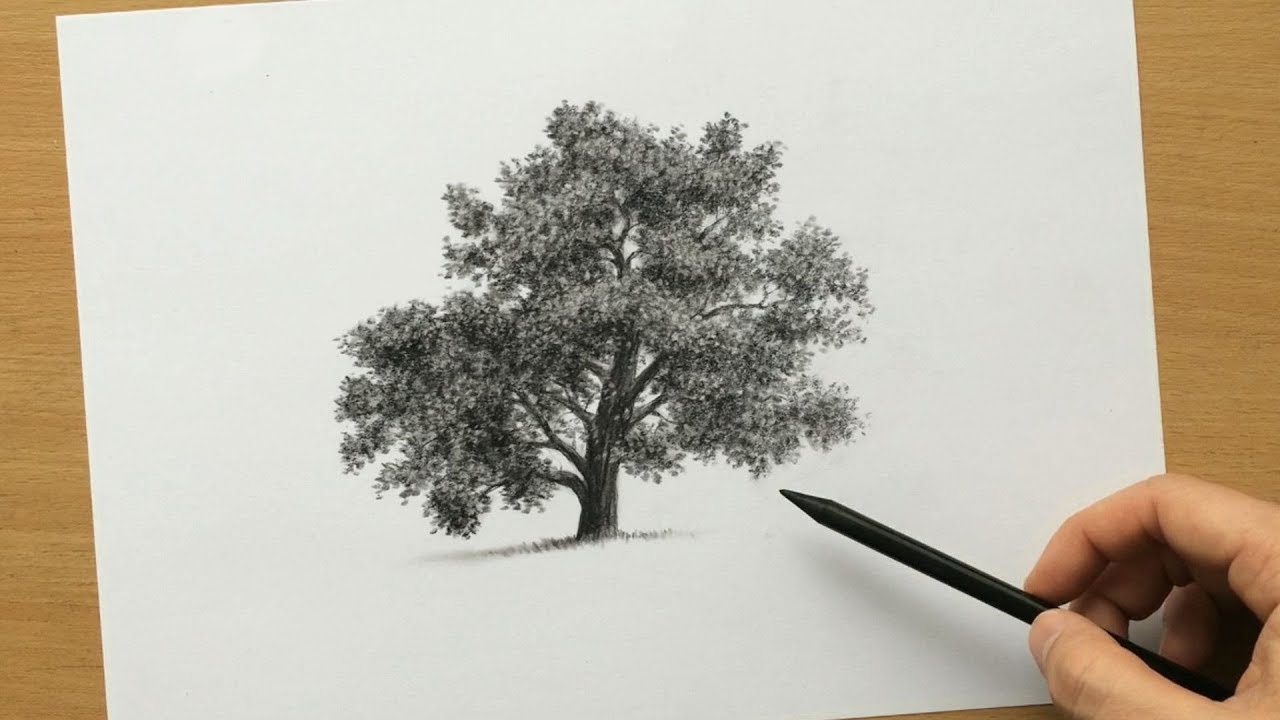 Charcoal tree drawing hi-res stock photography and images - Alamy