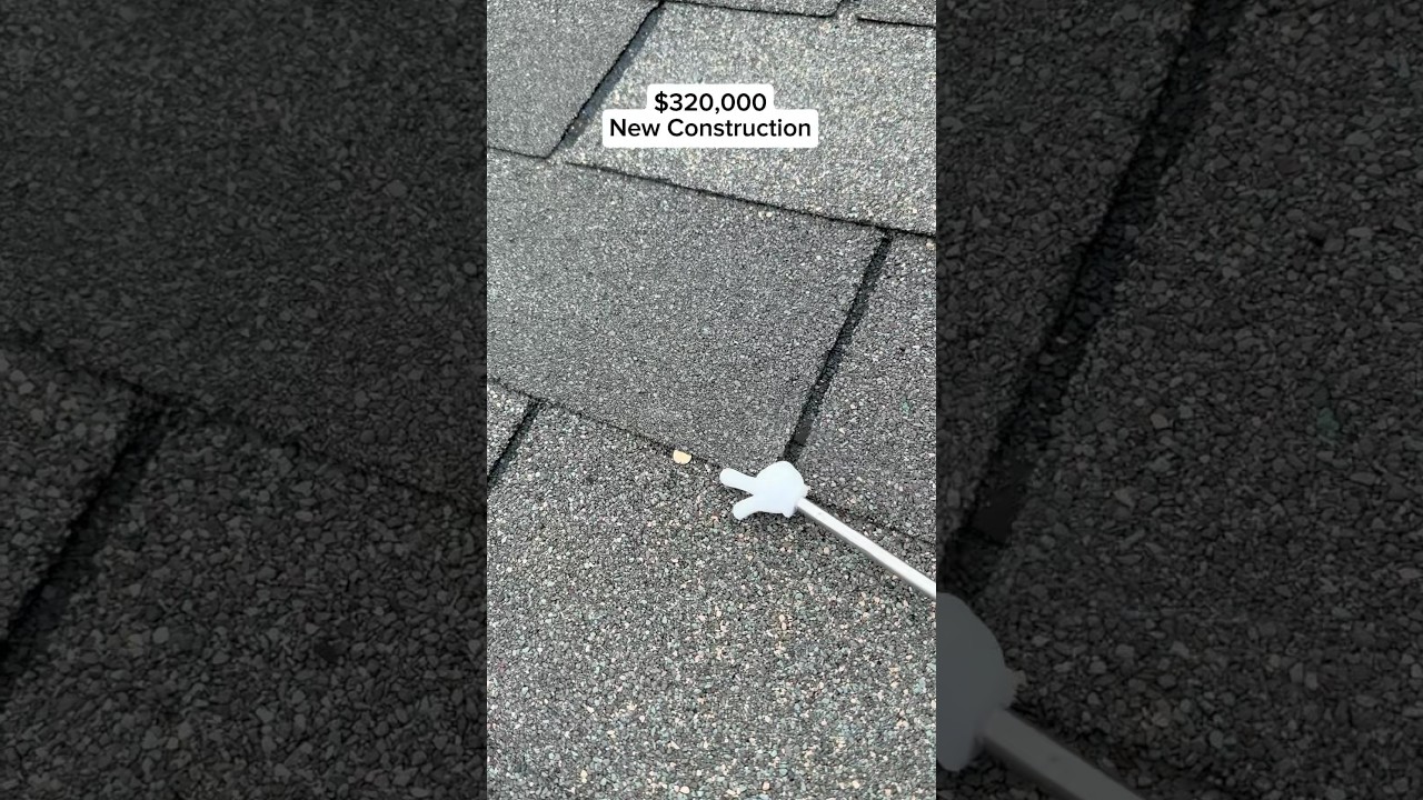 Lost the pink bow 😔 