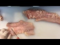 清須　焼肉　ミノ　コリコリ　【焼肉やすお】