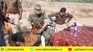 Dig मन महरज क एकशन दखए