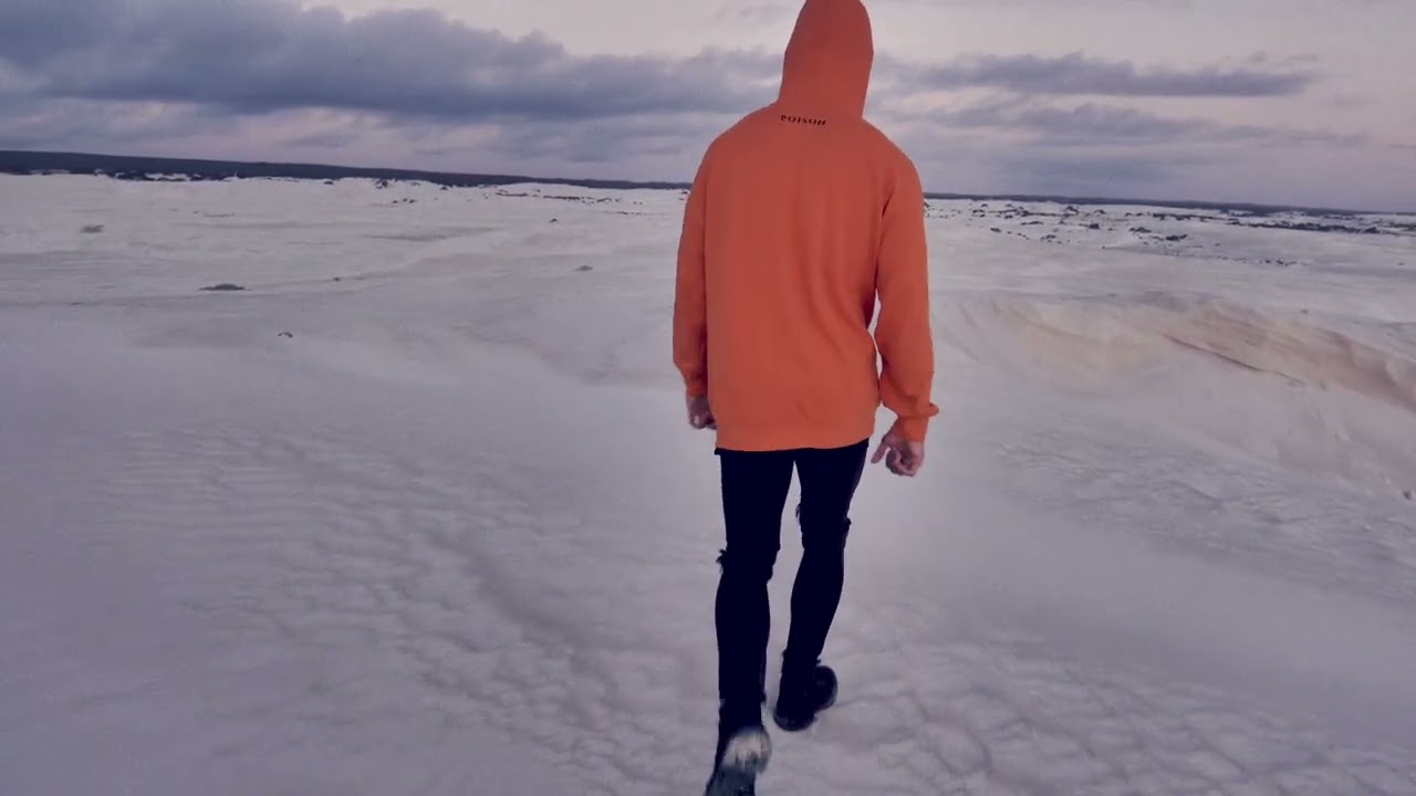 SLUMBERJACK - Poison (feat. Sydnee Carter) [Official Visualiser]