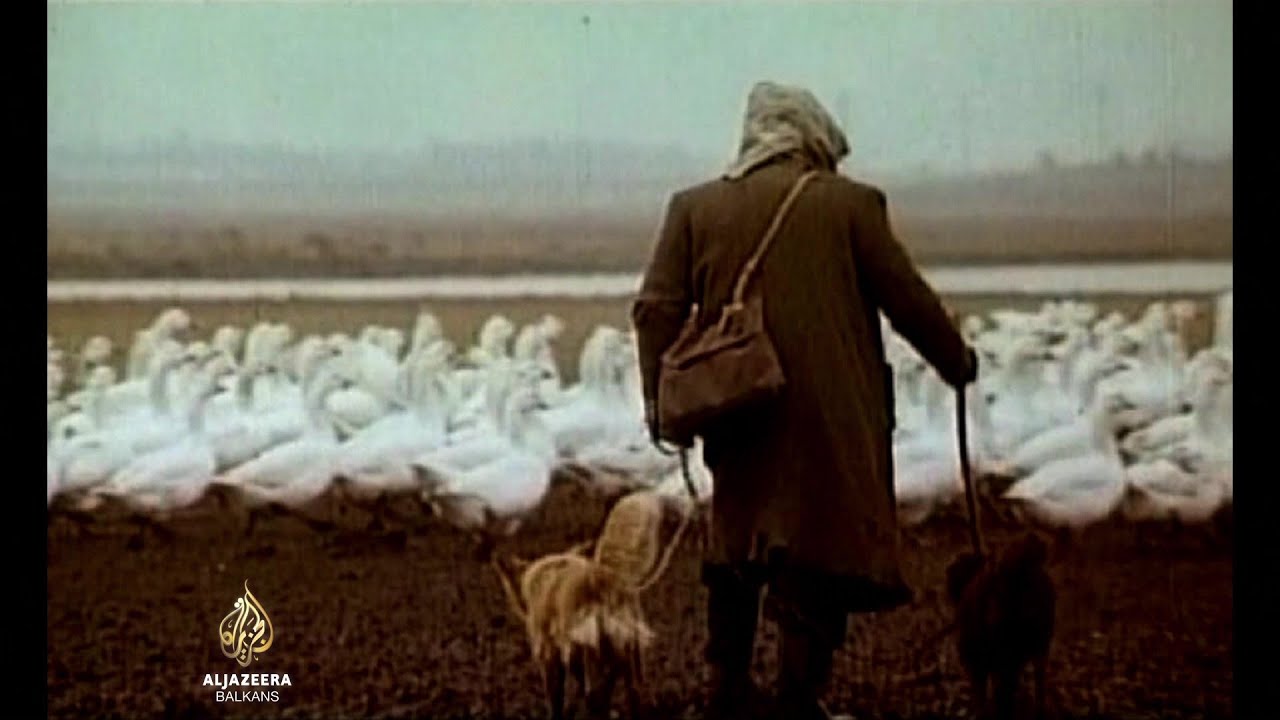 مدرسة سراييفو للأفلام الوثائقية | صور من حياة السينما البوسنية - الحلقة 2