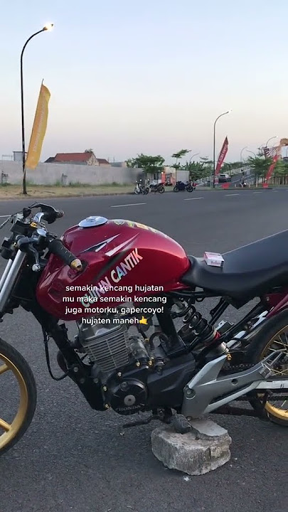 @megapromono#herex#megapromono