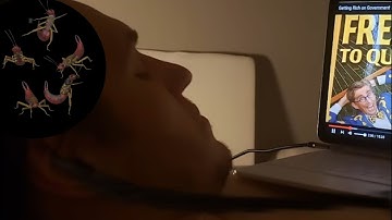jerma and the earwig incident