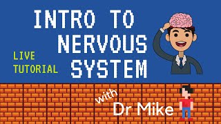 Live Tutorial: Fundamentals of the Nervous System