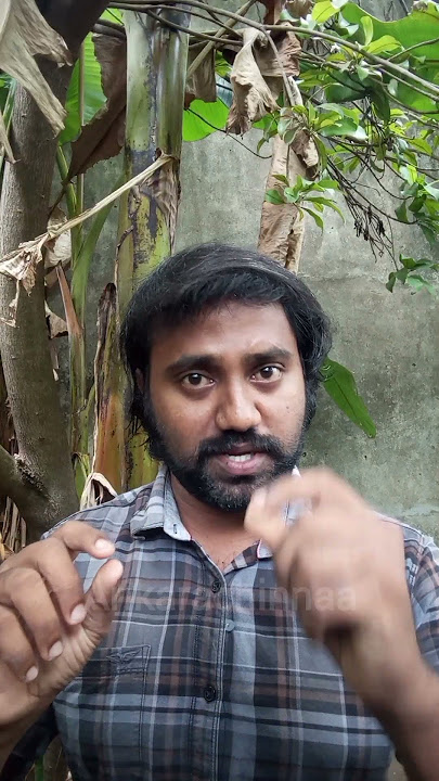 கும்பிடுப் பூச்சியின் வயிற்றிலிருந்து வெளிவரும் புழுவுக்கு இதுதான் காரணம்! | Praying mantis and worm