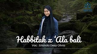 Habbitak X Ala Baali  Voc  Erlanda  Universitas Sunan Gresik