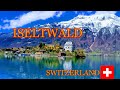 Iseltwald beautiful village in switzerland p2 roaming around lakebrienz iseltwald  nature