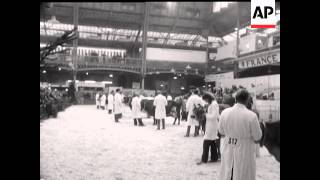 DAIRY SHOW