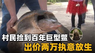 中国村民捡46斤巨型老鳖，拒高价收购执意放生，究竟是什么来头？【万物灵】