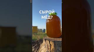 Это что вообще такое ?