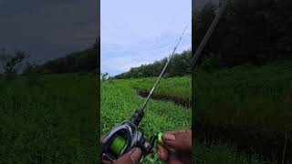 reel shimano slx dc xt 70, anti kusut #fishing #mancing