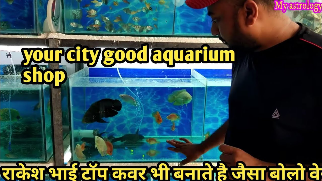 aquarium shop in noida dadri ghaziabad top cover making YouTube