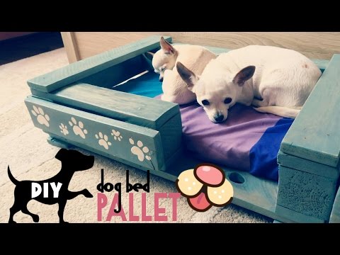 Video: Kuidas õmmelda Fleece Dog Bed Pattern