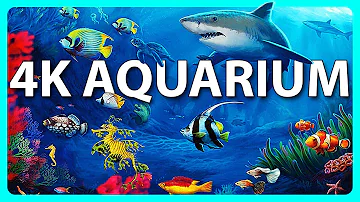 The Best 4K Aquarium for Relaxation 🐠 Relaxing Oceanscapes - Sleep Meditation 4K UHD Screensaver