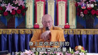 生命電視台 24 小時直播 | Life TV 24 hours live broadcast |ライフTV 24時間生放送 | 라이프TV 24시간 생방송