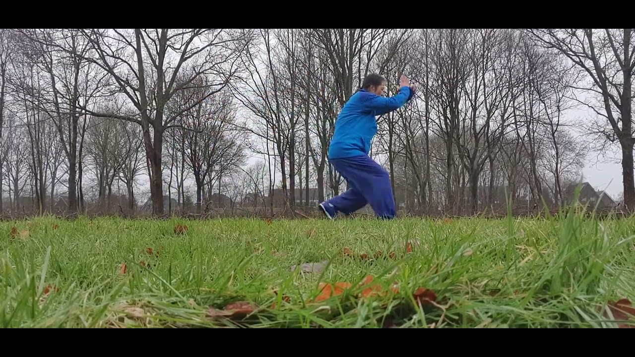 2026年2月22日 四路查拳