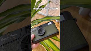 Camp Snap Digicam on Catalina Island 🏝️ #photography #camera #california