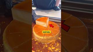 Things Youll Never Seen In Japan