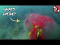 River Scuba Diving - Found a BIG RED BAG with something inside