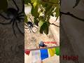 spiderman funny fails #spiderman #blackspiderman #superhero #funny