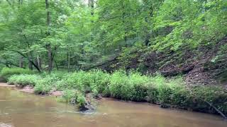 Johnson Creek ±299 acres located in Abbeville County, South Carolina