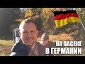 Пасека в Германии у друга