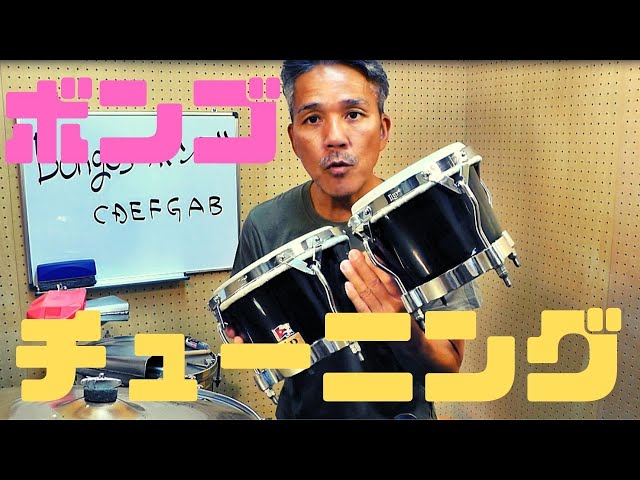 Bongos #1: Basic playing and tuning of your first bongo - YouTube