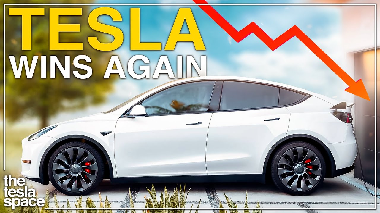 Tesla profits climb despite price cuts