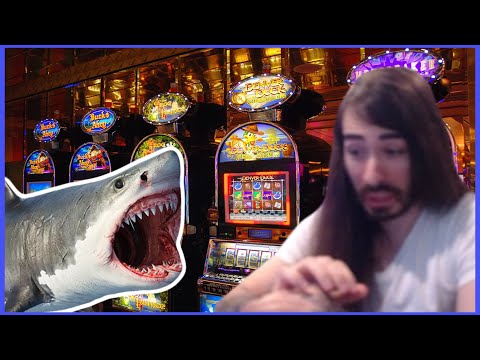 Shark Attacks And Casinos | MoistCr1tikal