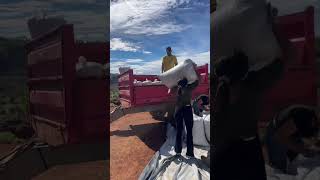 Mulher trabalhando no pesado