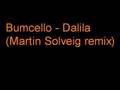 Miniature de la vidéo de la chanson Dalila (Martin Solveig Remix)
