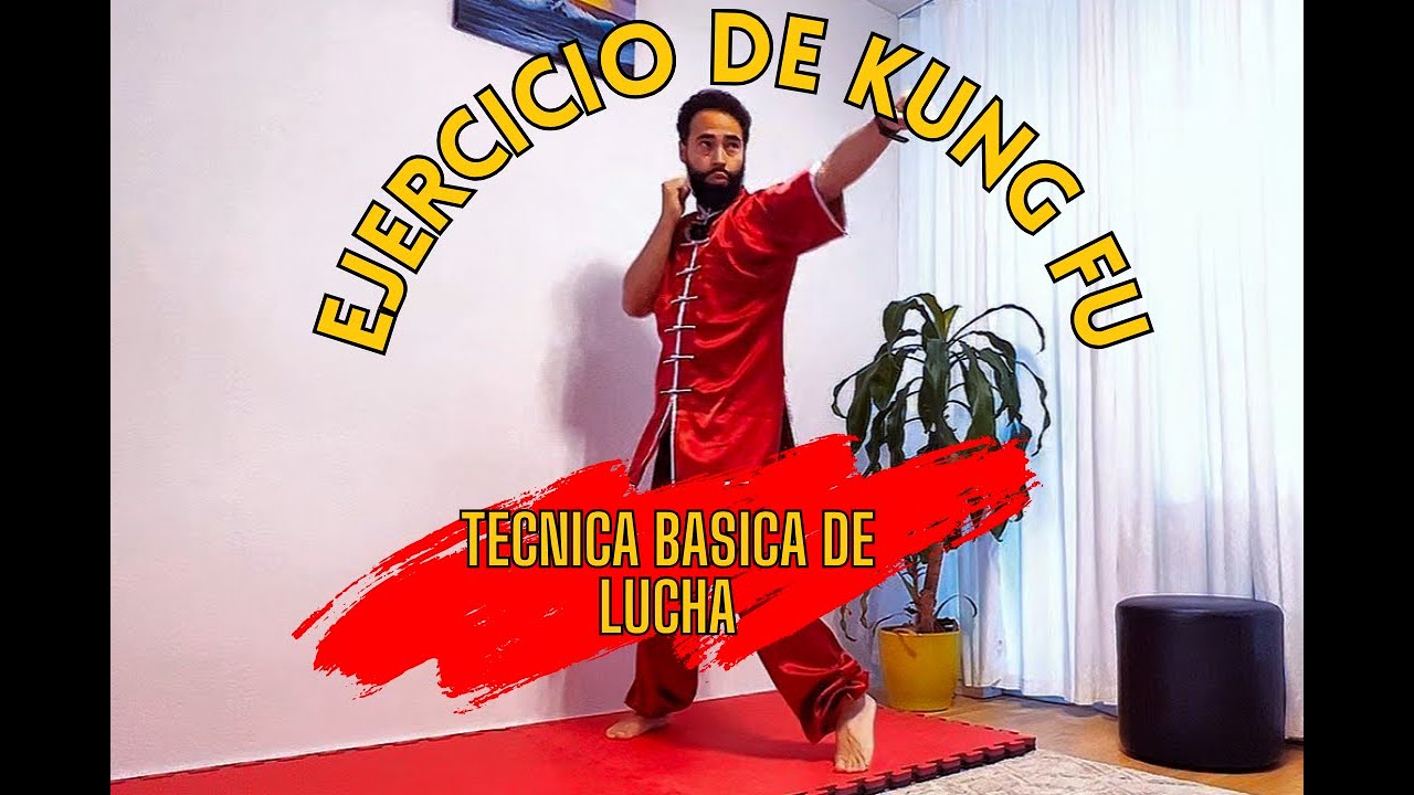 ✅ Kung fu técnica básica de  lucha, Sanda