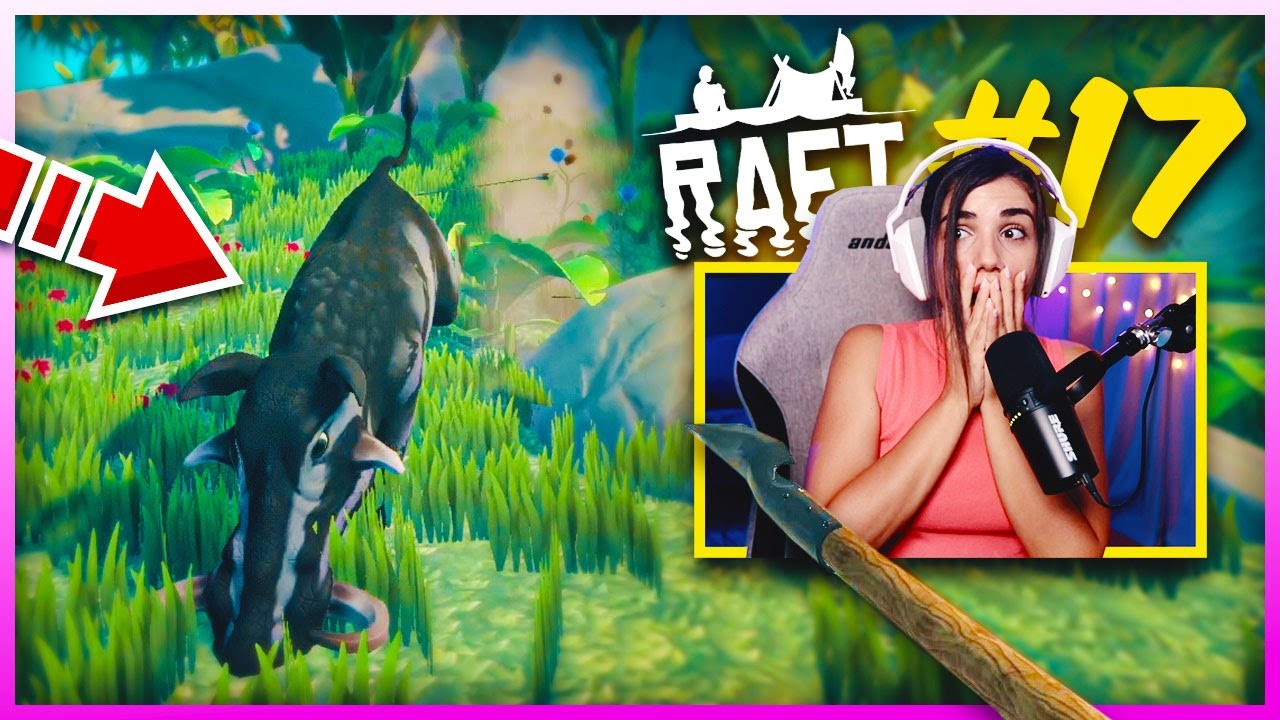 ΔΕΧΟΜΑΙ ΑΠΟ ΠΑΝΤΟΥ ΕΠΙΘΕΣΗ ΣΤΟ RAFT !