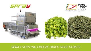 Spray sorting machine for freeze dried vegetables | Raytec Vision