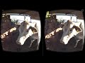 Vacas en realidad virtual Episodio #20