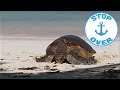 The Seychelles Treasure Islands, on board the Ponant (Documentary, Discovery, History)