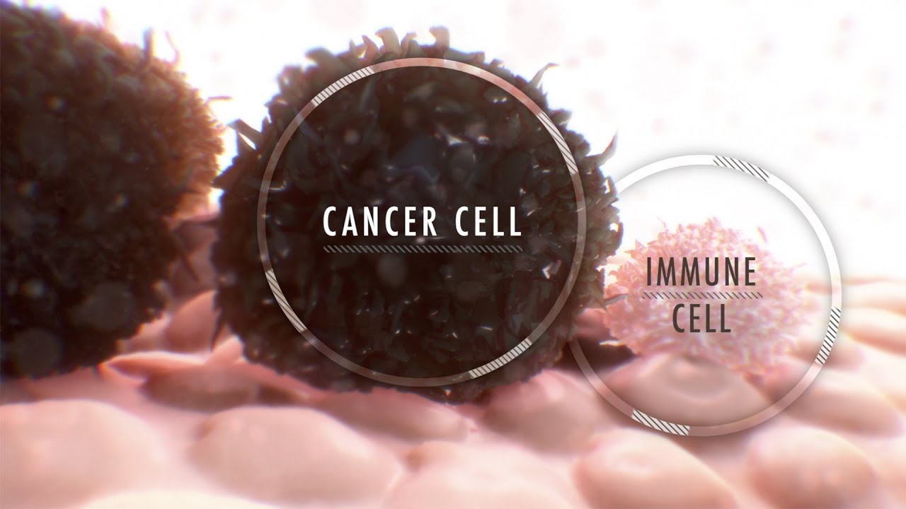 What is cancer immunotherapy? - YouTube