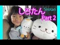 続編★しろたんぬいぐるみマザーガーデン行ってみたPart2♪Sirotan★Seal Stuffed Animals & Body Pillow