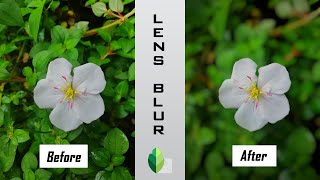 how to make background blur in snapseed 14