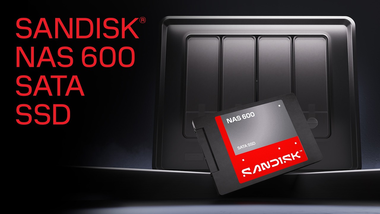 SANDISK NAS 600 SATA SSD