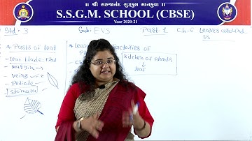 (CBSE) Class: 3 || Subject: EVS || Lesson: 6 || Topic: Leaves Around Us PART 1