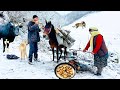 A Day in Nature: Collecting Firewood with a Mule &amp; Cooking Fresh Trout!