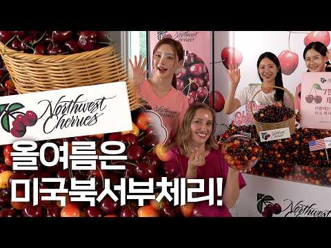 여름 제철 미국북서부체리, '체리데이'로 만난다