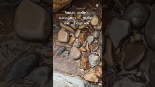Аллах любит кающихся и любит очищающихся