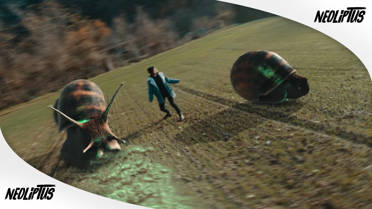 SNAILS - FROGKIND (MUSIC VIDEO) 💚