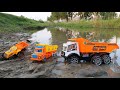 Dumper Truck Tata Ashok Leyland Truck Tractor Stuck in Mud | Jcb Truck Dumper Accident Cartoon