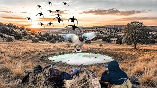 TINY HIDDEN OKLAHOMA FARM POND DUCK HUNT!