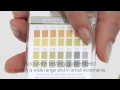 pH Testing Your Body Using pH Test Strips - Better Than Litmus Paper