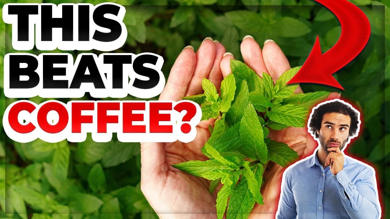 Самая мощная трава для повышения энергии? (Экстракт аралии)